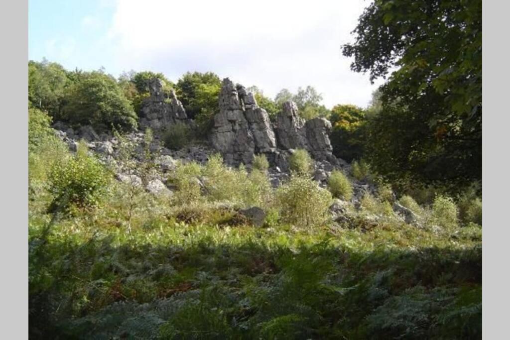 L'échappée Verte Ambiance nature et forêt Deville (Ardennes) Exterior foto